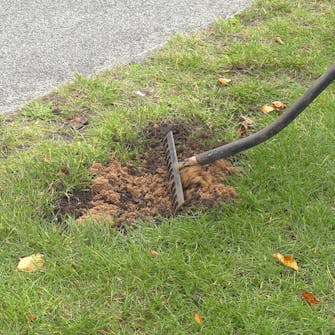 Toppdressing: Riv sand og jord sammen Toppdressing: Riv sand og jord sammen